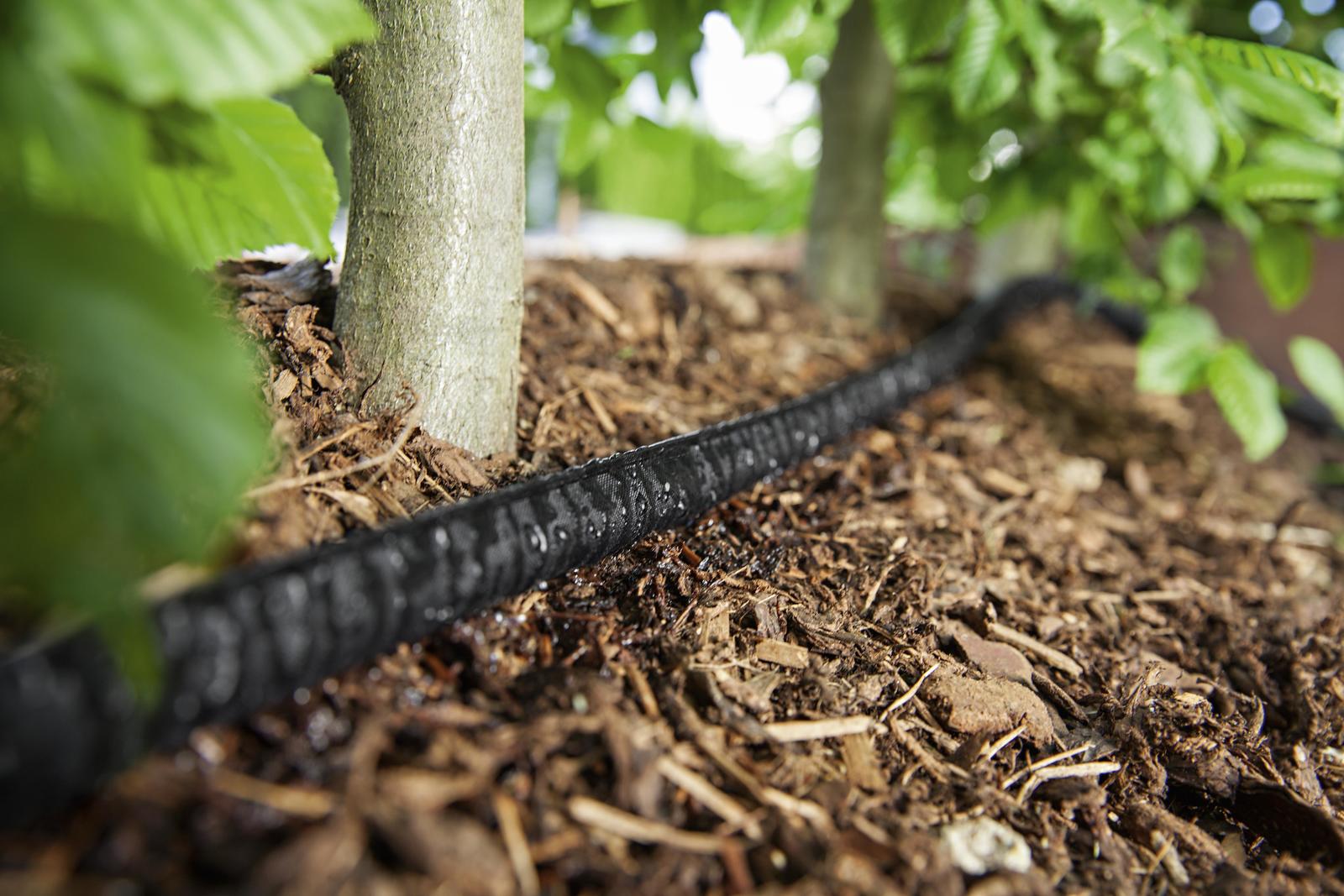 Soaker hoses are the key to a hassle free watering system.