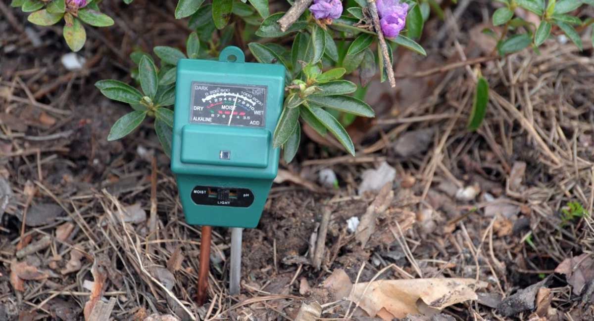 The Best Compost Thermomete